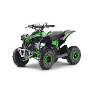 Outlaw petrol quad 125cc green Alle producten BerghoffTOYS