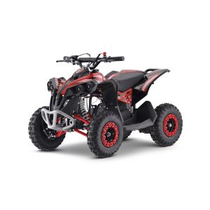 Outlaw petrol 125cc red quad Alle producten BerghoffTOYS